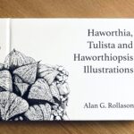 Haworthia Tulista & Haworthiopsis Illustrations by Alan Rollason